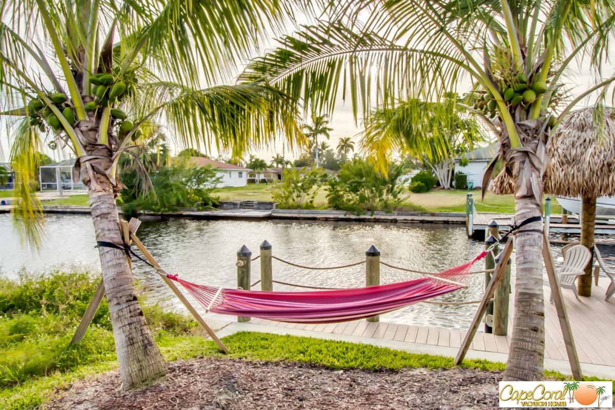 Hammock